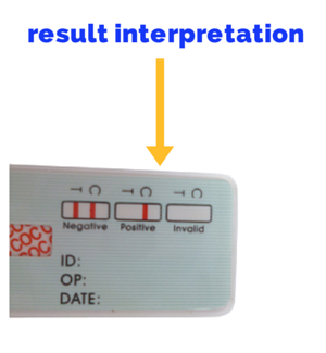 Methadone Urine Drug Test Kit | Dip Card WDMT-114 (25/box) - ToxTests